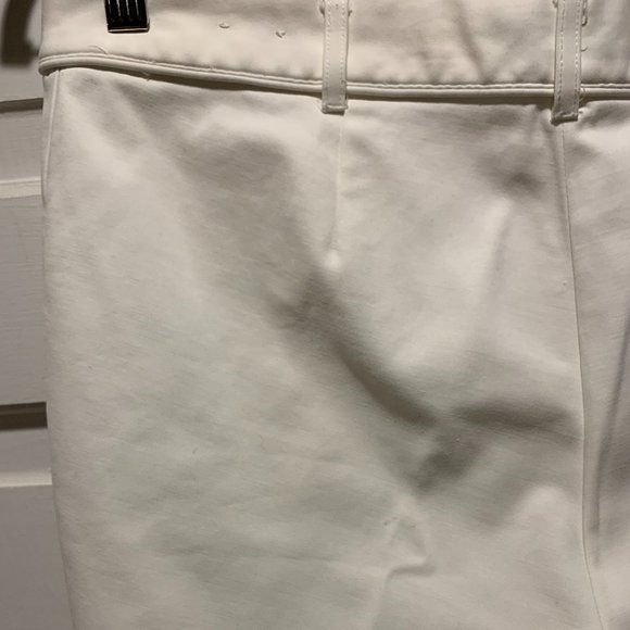 J. McLaughlin~ Khaki Pants - Picture 10 of 16